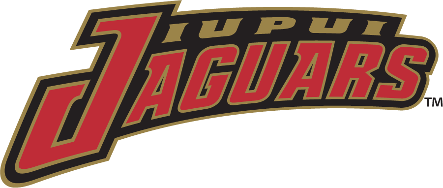 IUPUI Jaguars 1998-2007 Wordmark Logo diy iron on heat transfer